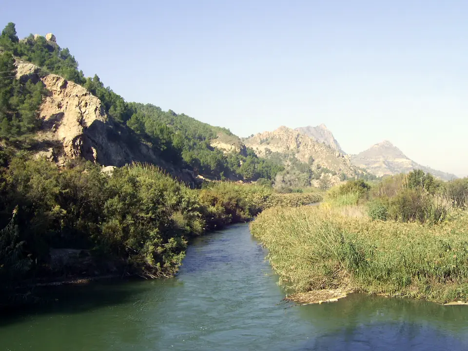 El río Segura entre huertas a su paso por Abarán