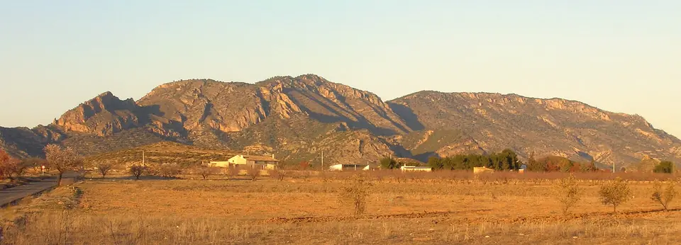 Laderas de la Sierra del Oro, entre Abarán y Cieza