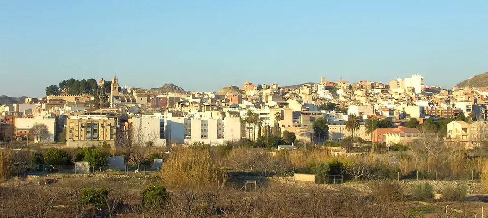Vista general de Abarán sobre la vega del Segura