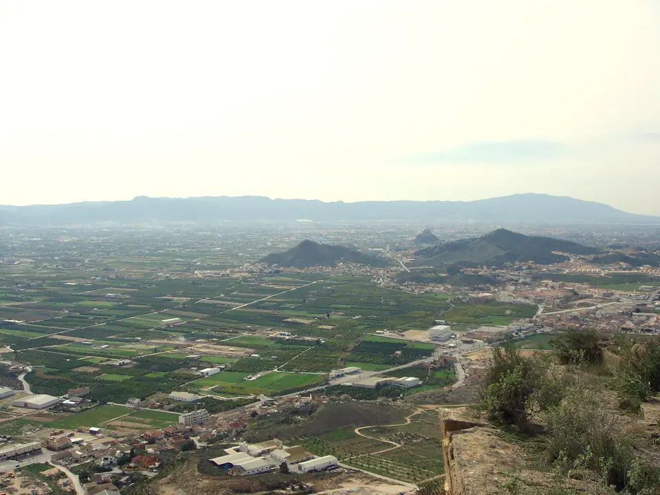 Parcelas de regadío en la huerta del Segura
