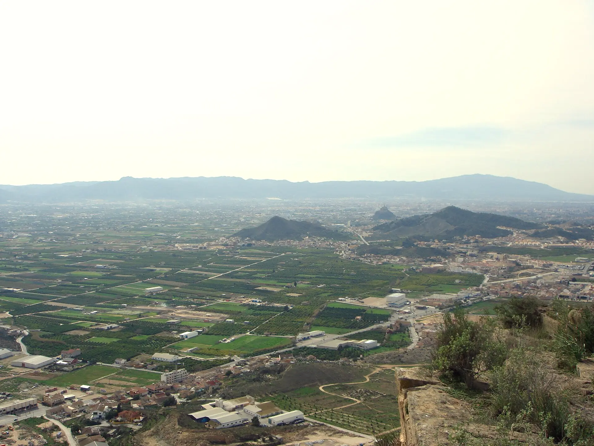Parcelas de regadío en la huerta del Segura