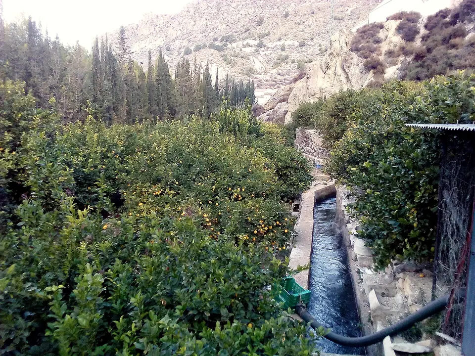 Acequia principal que riega la huerta de Blanca