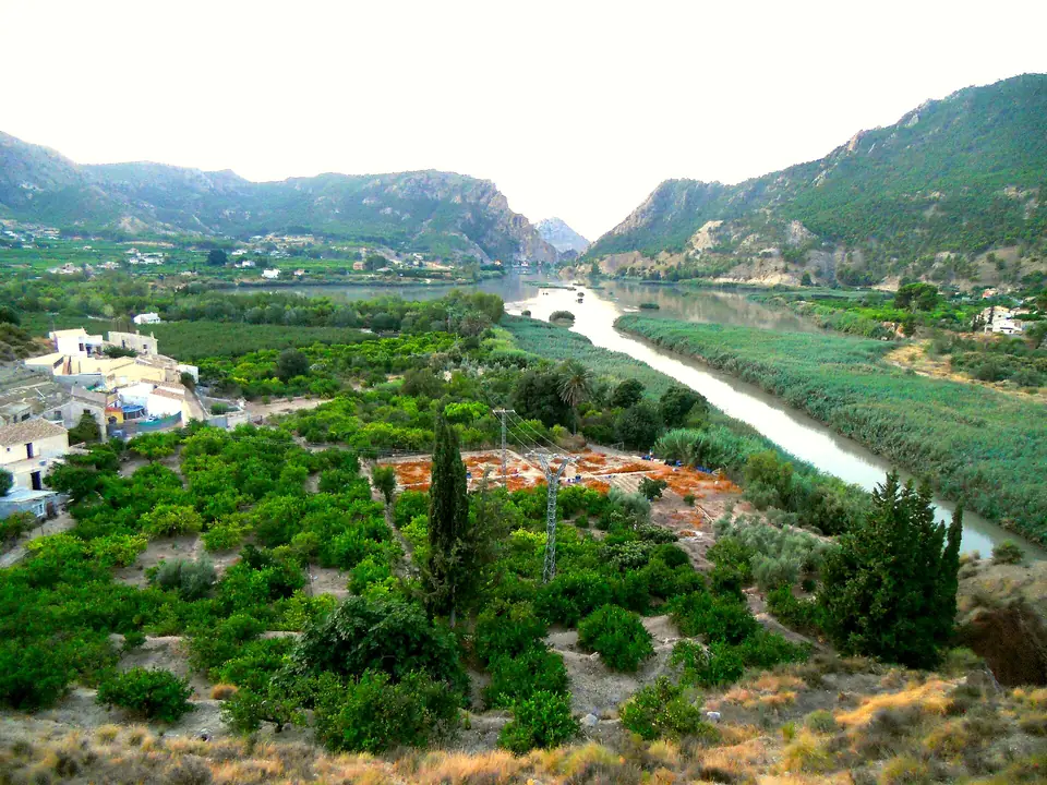 El río Segura remansado en el Azud de Ojós