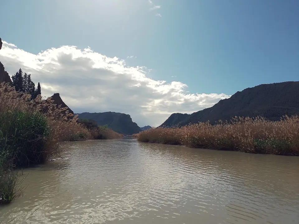 El río Segura a su paso por Blanca