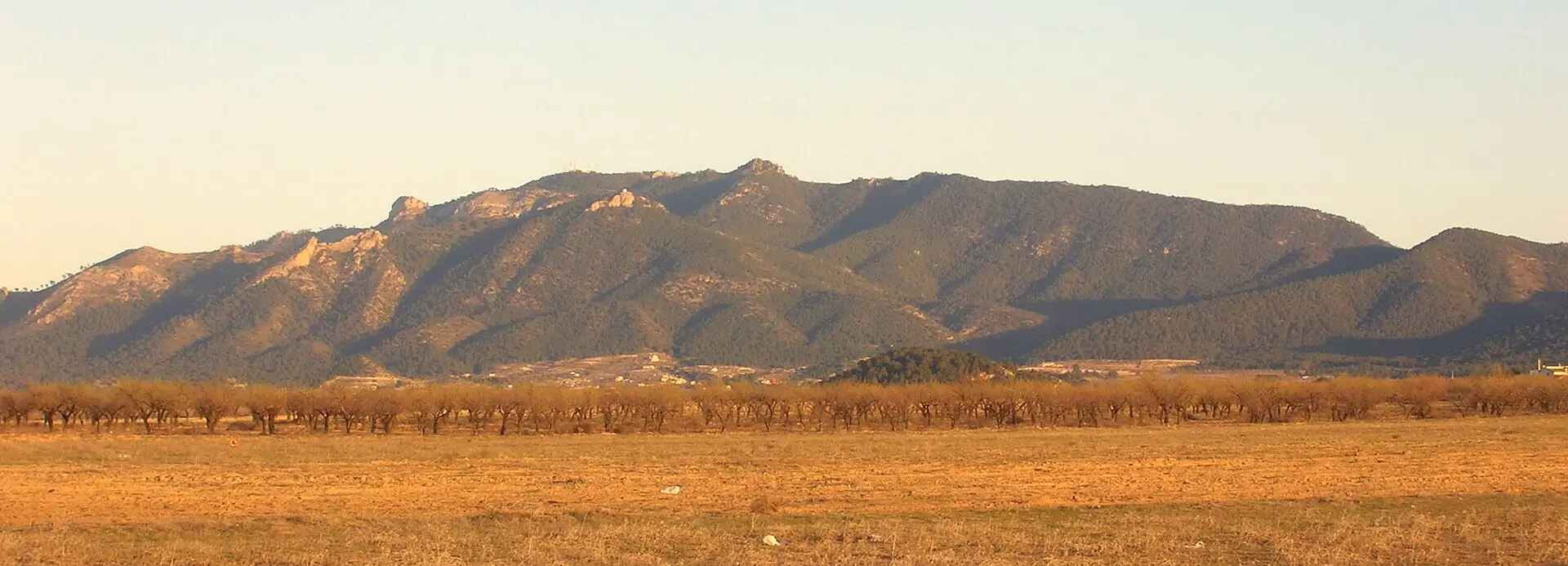 Huerta y sierras del Valle de Ricote
