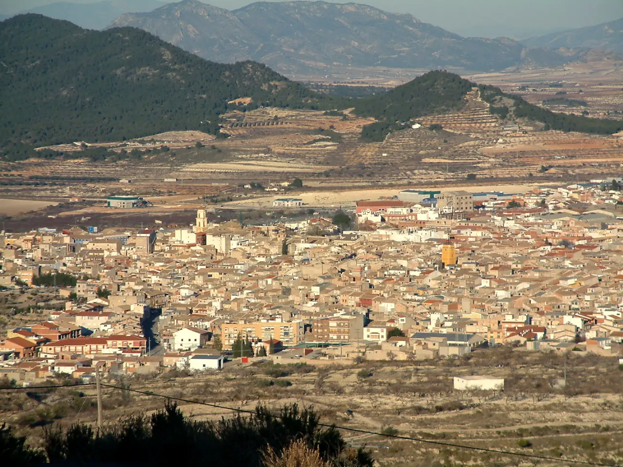 Vista general de Bullas entre campos de cultivo