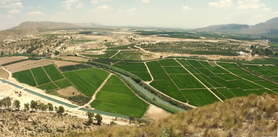 Río Segura entre vegetación de ribera a su paso por Calasparra