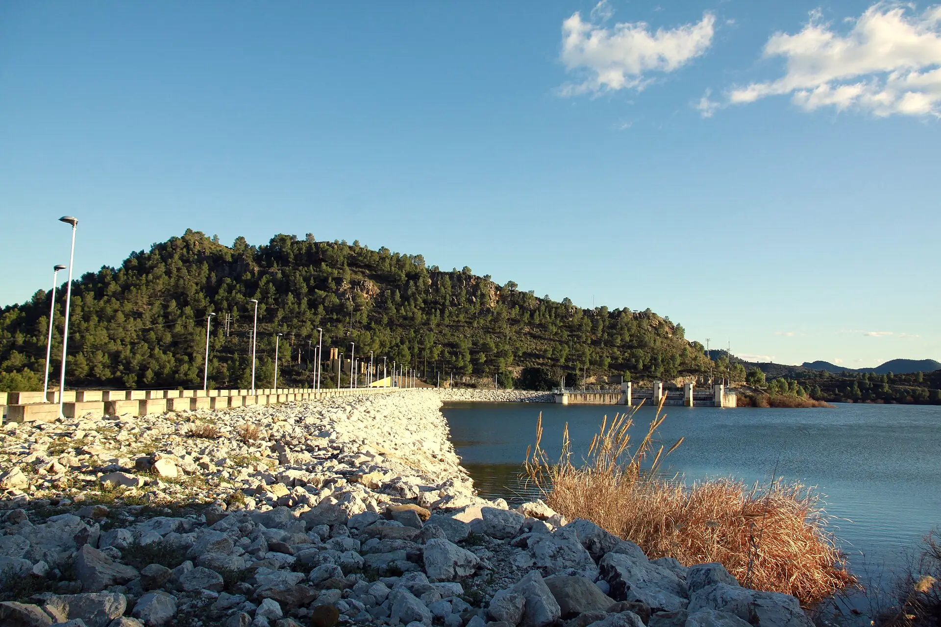 Aguas del embalse del Argos entre lomas de pinar