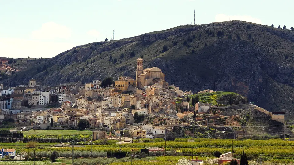 Casas encaladas y torre de iglesia en Cehegín