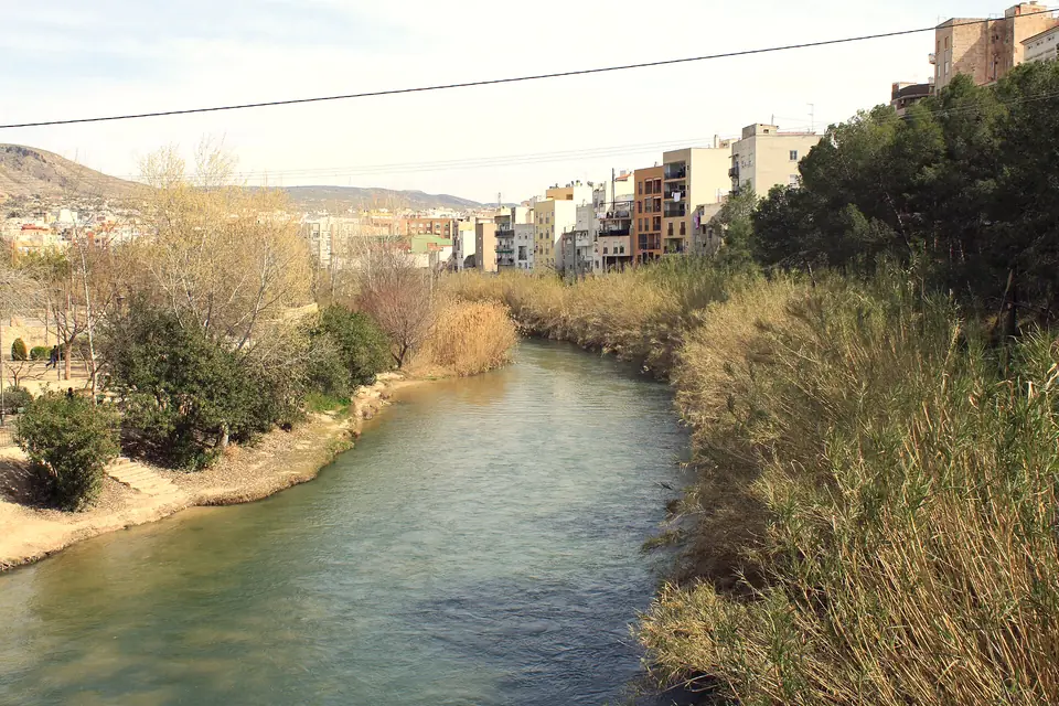 El río Segura a su paso por Cieza entre cañaverales