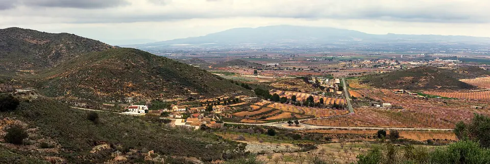 Campos de cultivo junto a Las Palas, en Fuente Álamo