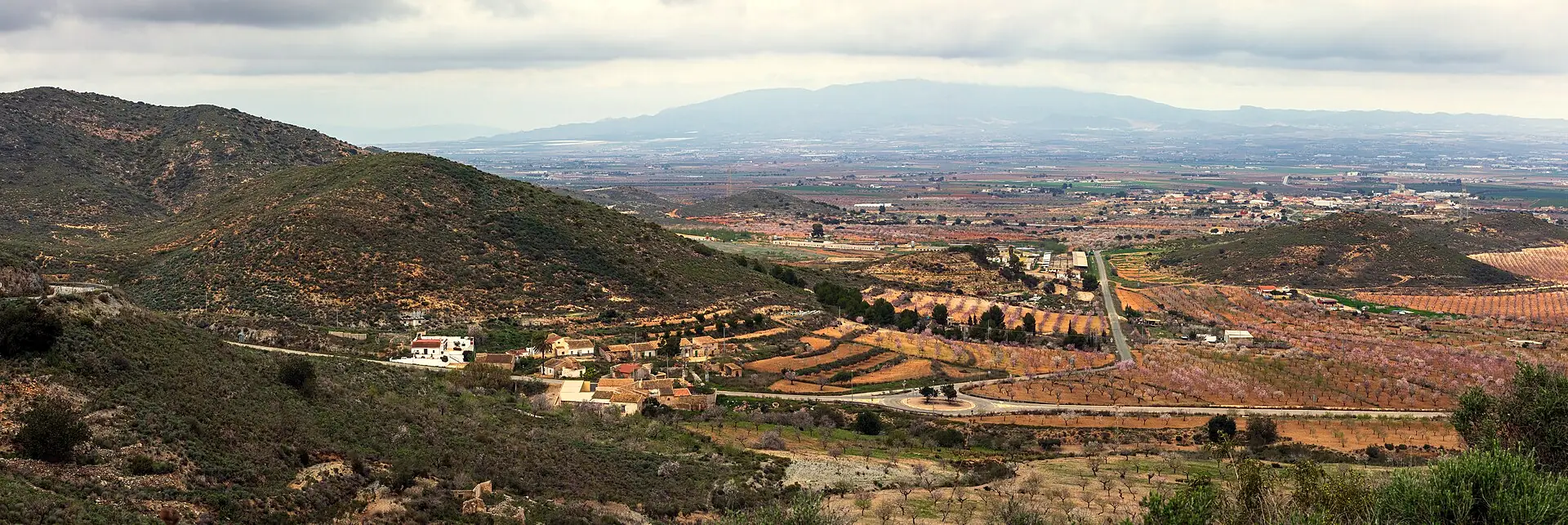 Campos de cultivo junto a Las Palas, en Fuente Álamo