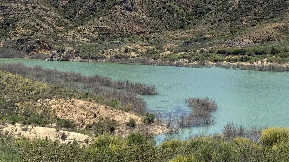 Humedal del Ajauque, paisaje protegido con vegetación salina