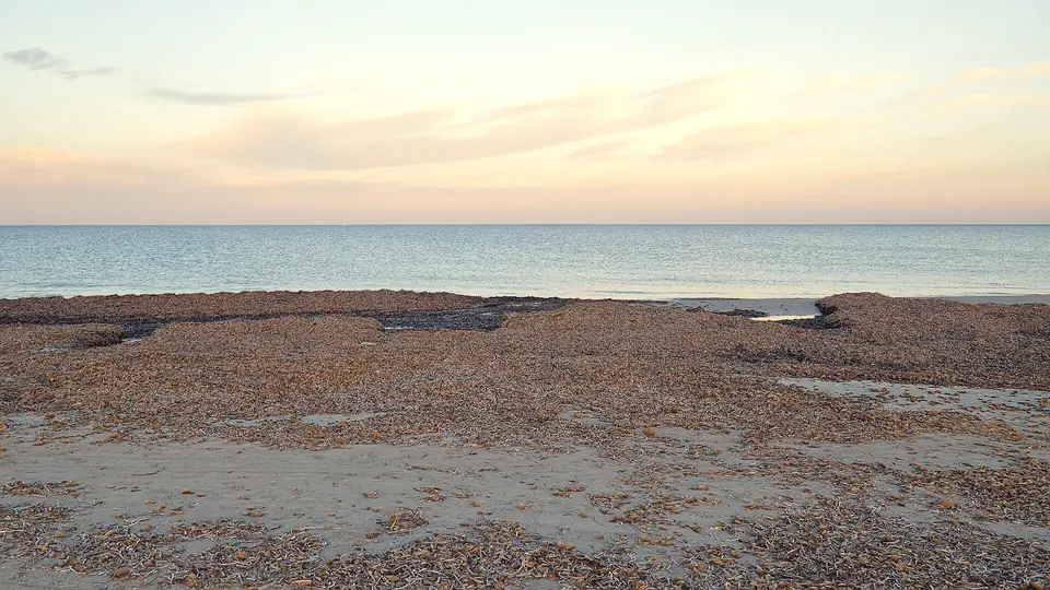 Arenales y dunas de la playa de La Llana, en el Mediterráneo