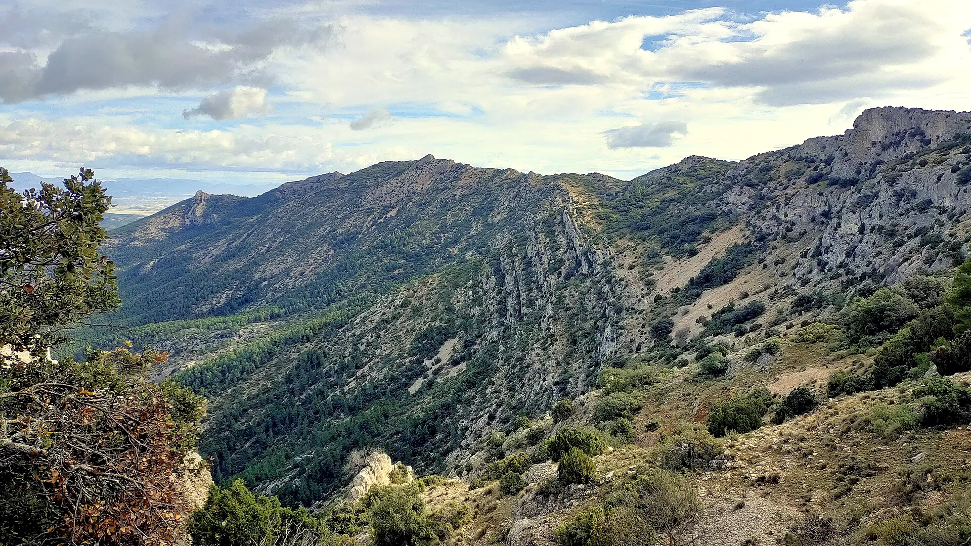 Pinares y cumbres de Sierra Espuña, al norte del término de Totana