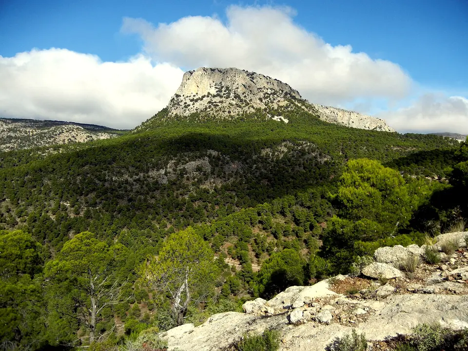 Sierra Espuña vista desde el término de Totana
